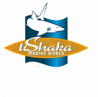 uShaka-Logo-removebg-preview